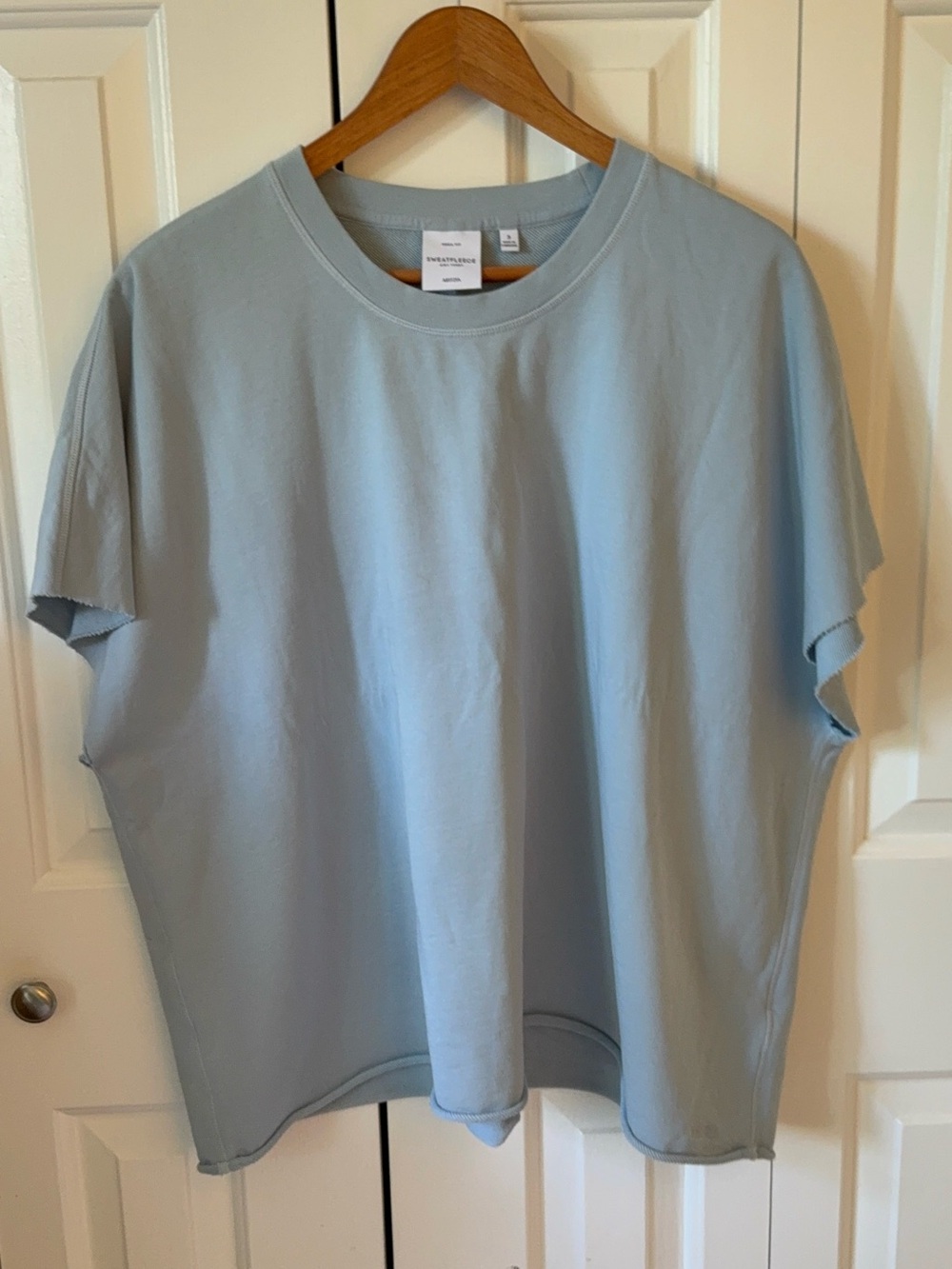 Aritzia Oversized Pale Blue Crewneck Tee